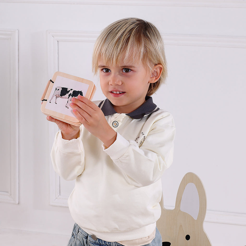Montessori Educational Box, Babyspielzeug 7-12 Monate, 6 in 1 Lernspielzeug für Kleinkinder - Frühes Lerngeschenk