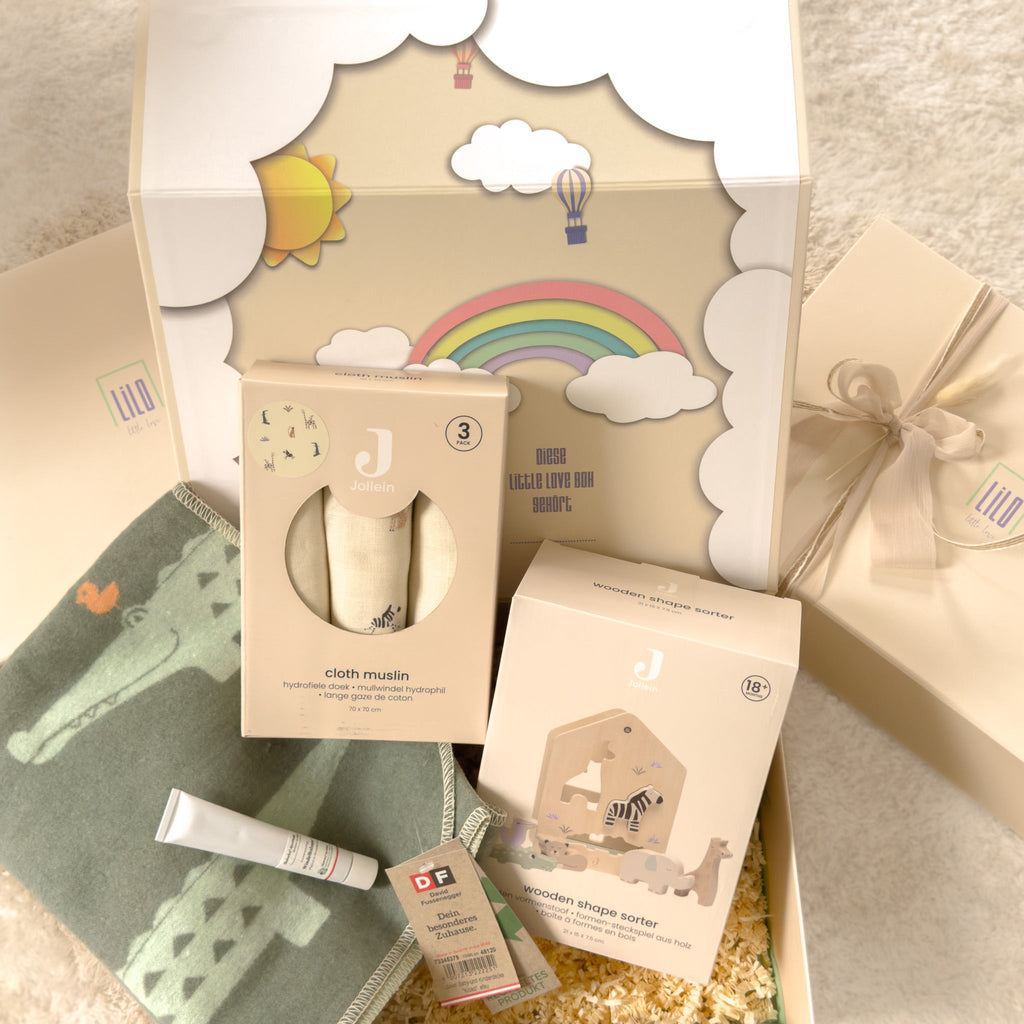 Wild Crocodile Box